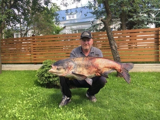 Margasis plačiakaktis