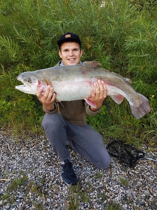 Vaivorykštinis upėtakis