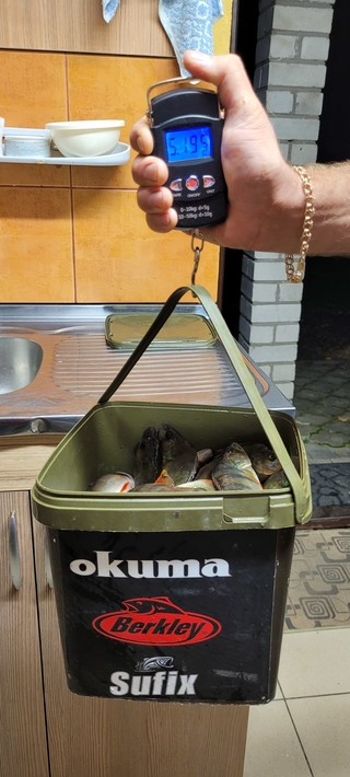 Dryžuotasis ešerys