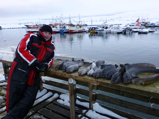 Paprastoji vilkžuvė