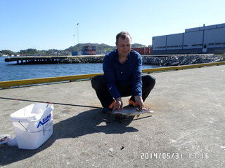 Vaivorykštinis upėtakis