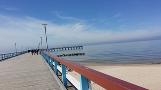 Dvidėmis grundalėlis