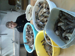 Apalais jurasgrundulis