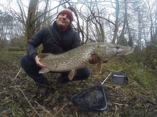 Vaivorykštinis upėtakis