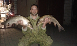 Paprastasis ūsorius