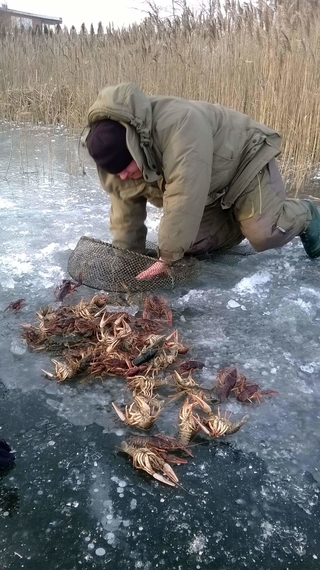 Siauražnyplis vėžys