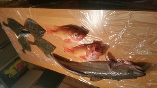 Raudonakis akmenyninis ešerys