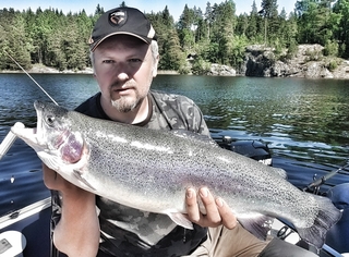 Vaivorykštinis upėtakis