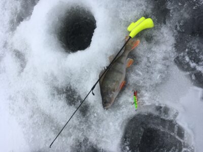 Ešerys, 0,4 kg