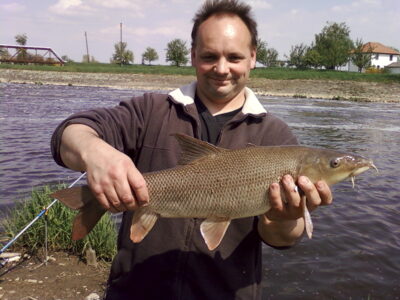 Paprastasis ūsorius, 3,1 kg