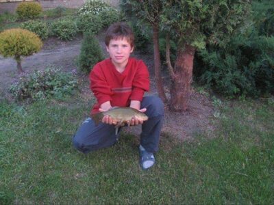 Lynas, 0,8 kg — Tauragės