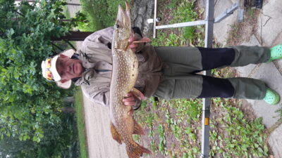 Lydeka, 5,5 kg