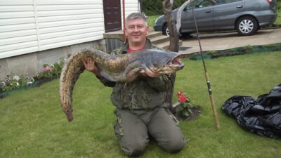 šamas, 25,8 kg