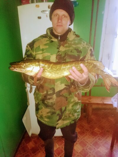 Lydeka, 1,5 kg — Striūpys