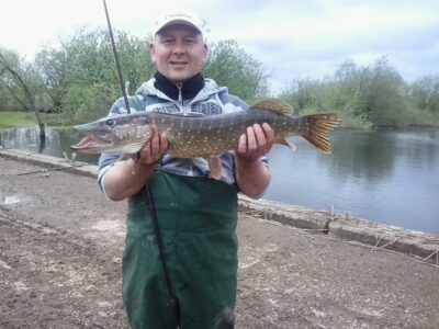 Lydeka, 3,9 kg — Leitalė