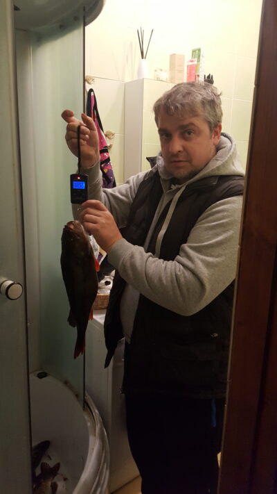 Ešerys, 1,2 kg