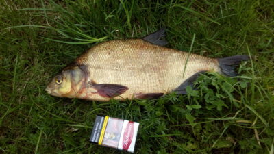 Karšis, 1,4 kg — Eišiškių HE
