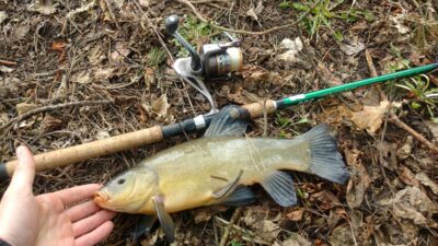 Lynas, 1,0 kg — Aukštadvario HE