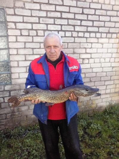 Lydeka, 3,8 kg — Smalių