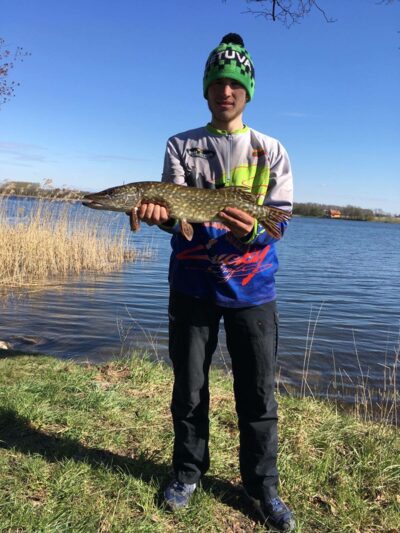 Lydeka, 1,4 kg