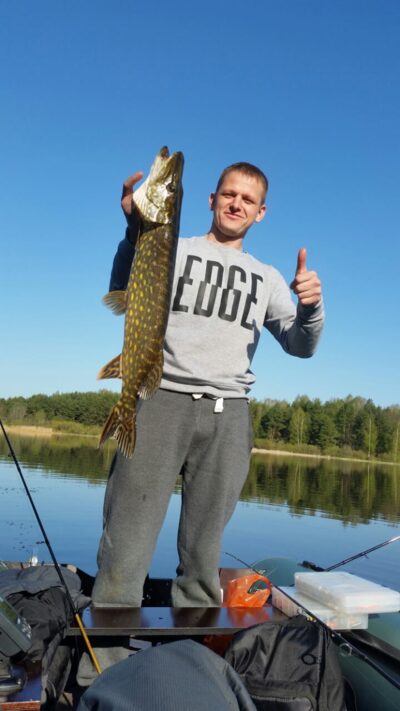 Lydeka, 2,6 kg — Padvarių