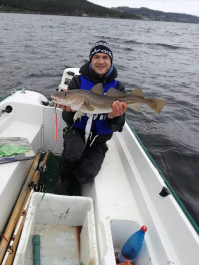 Menkė, 4,0 kg