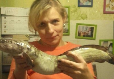 Vėgėlė, 0,4 kg