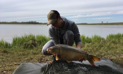 Paprastasis karpis, 1,0 kg — Tverų