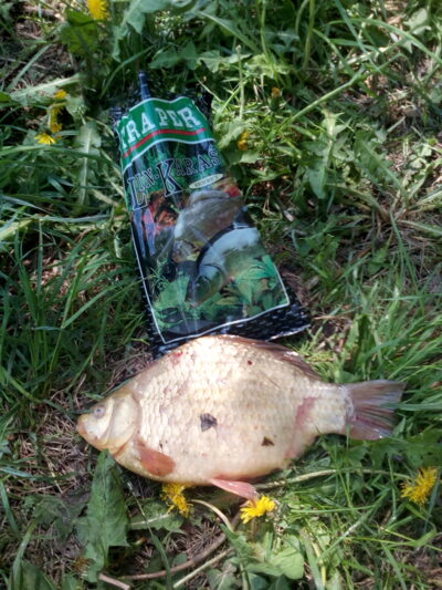 Auksinis karosas, 1,0 kg