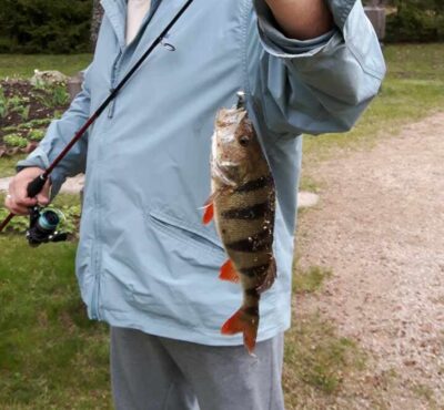 Ešerys, 0,5 kg — Aisetas