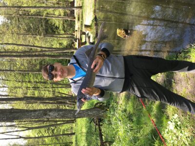 Didysis eršketas, 2,8 kg