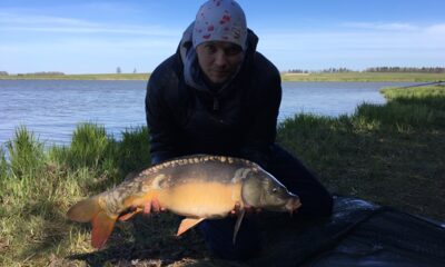 Paprastasis karpis, 1,0 kg — Tverų