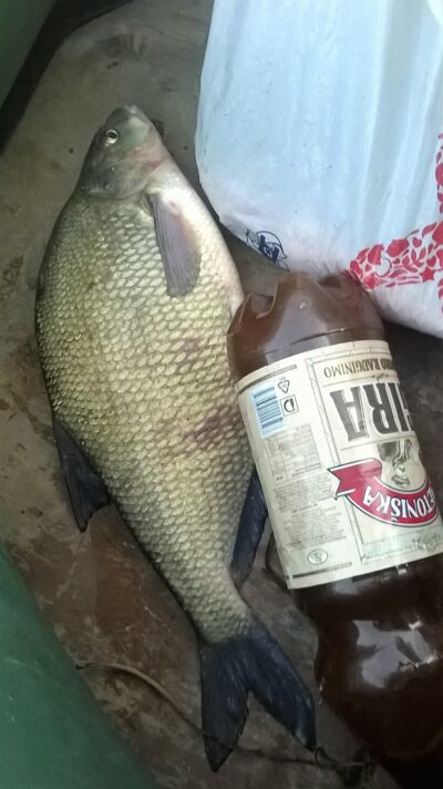 Karšis, 1,0 kg — Nemunas