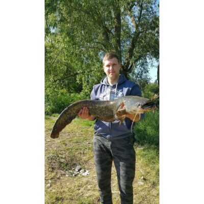 šamas, 8,8 kg
