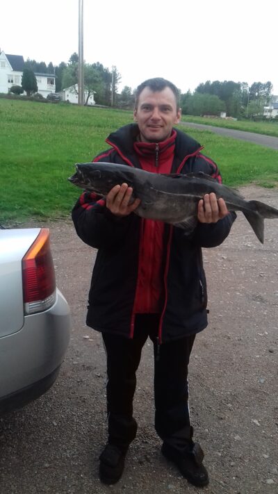 , 5,5 kg