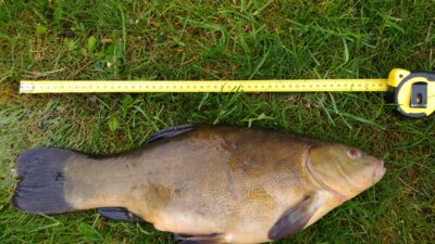 Lynas, 2,5 kg
