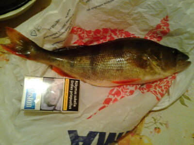 Ešerys, 0,7 kg