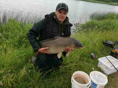 Paprastasis karpis, 12,0 kg