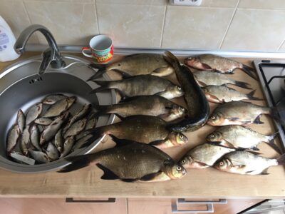 Karšis, 0,1 kg