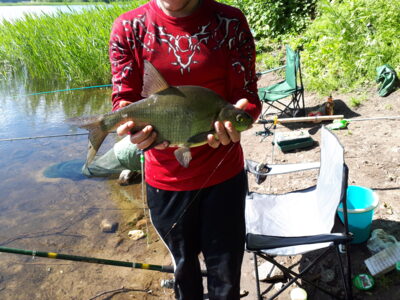 Karšis, 1,3 kg