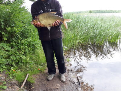 Karšis, 2,0 kg