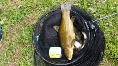 Lynas, 2,0 kg