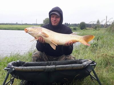 Paprastasis karpis, 10,1 kg