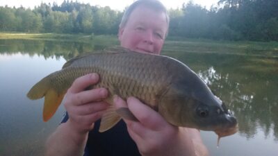 Paprastasis karpis, 2,3 kg