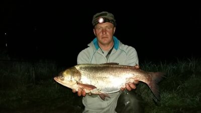 Baltasis plačiakaktis, 5,3 kg