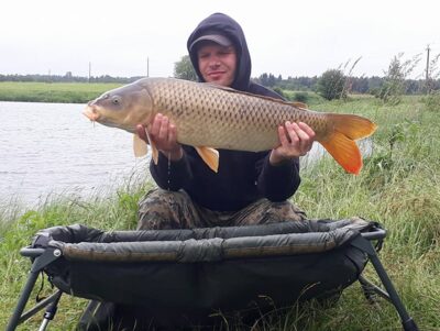 Paprastasis karpis, 10,1 kg
