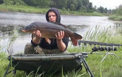Paprastasis karpis, 11,8 kg