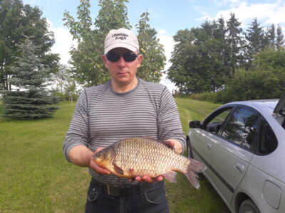 Sidabrinis karosas, 1,9 kg — Aunuvėnų