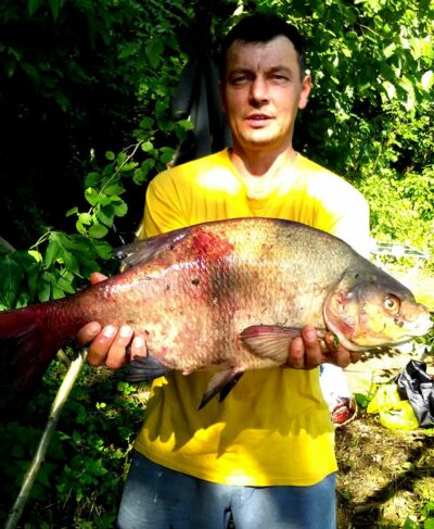 Karšis, 4,3 kg