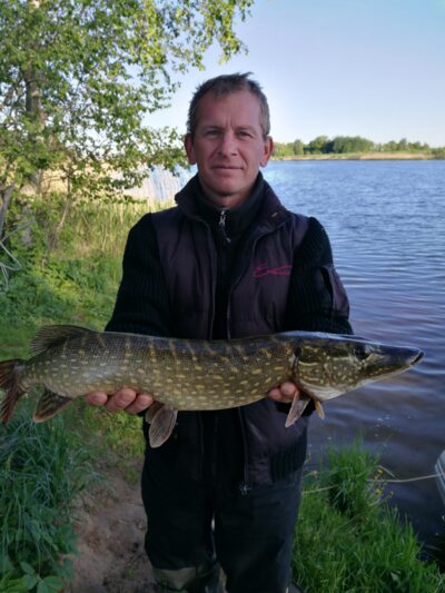 Lydeka, 2,4 kg